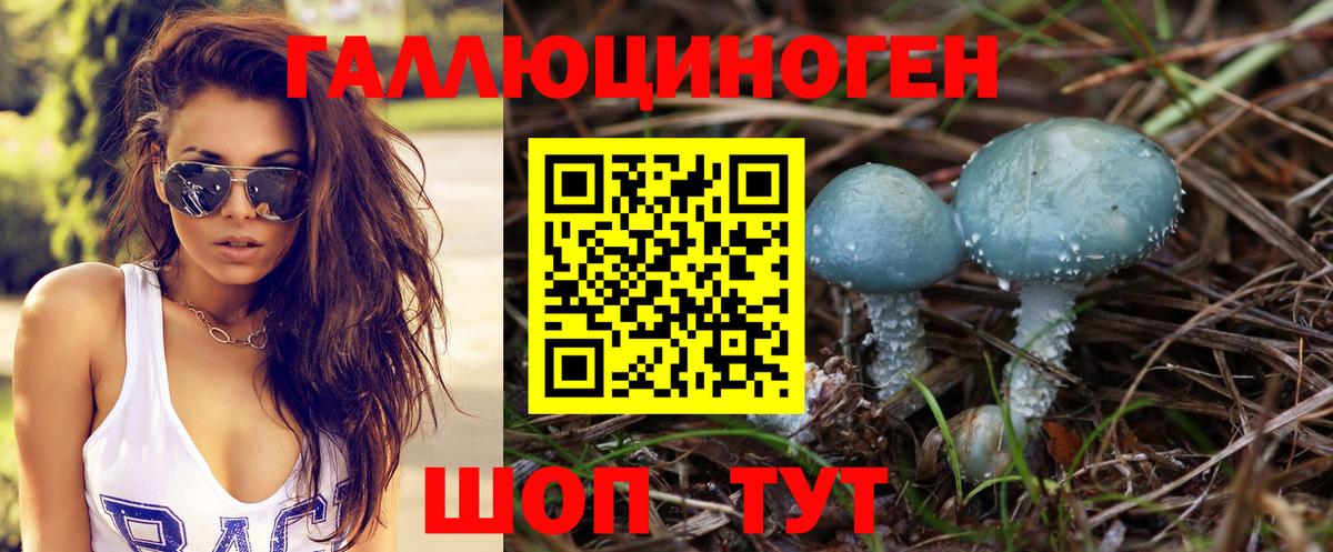 Димитровград  Галлюциногенные грибы Magic Shrooms  Галлюциногенные грибы Psilocybine cubensis  Вход с VPN 